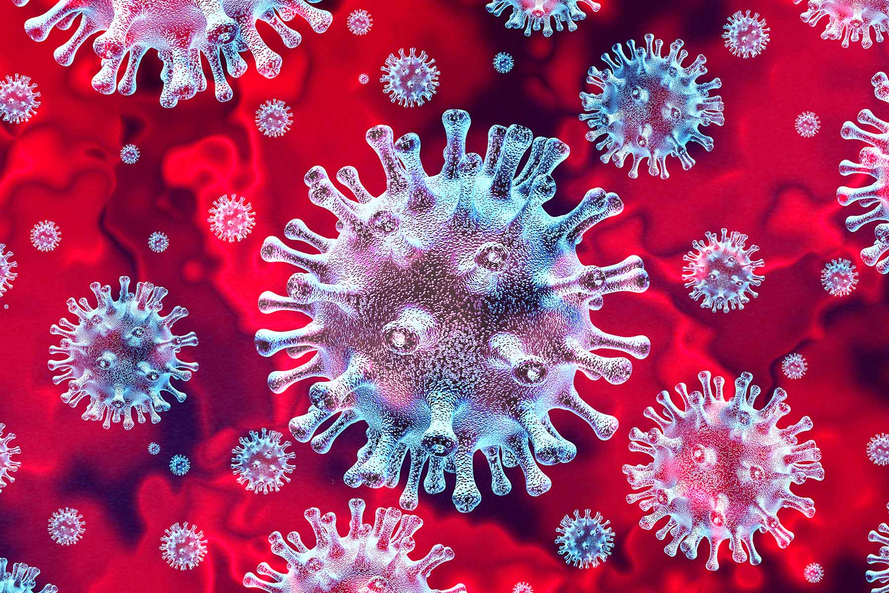 EHF Suspends 2021 Scholarships Due to the Covid-19 Pandemic